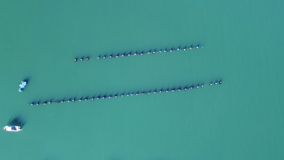 Farm Design | Alaska Mariculture Insights